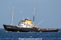 Holland SH-190922-01.jpg