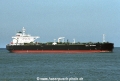 Tropic Brilliance (OS-FN902).jpg