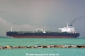 Tropic Brilliance OS-261107-01.jpg