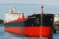 Mare Ambassador (KB-D091011-01).jpg