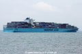 Maersk Genoa (MS-261016-22).jpg