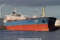 Yang Mei Hu SH-020714-01.jpg