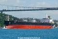 Zuma (OK-260512-3).jpg