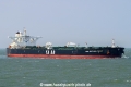 Yasa Southern Cross SH-210523-01.jpg