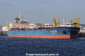 Yang Li Hu SH-120814-01.jpg