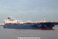 Yang Mei Hu (MM-070614-1).jpg