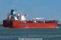 Mari Innovator (MM-250324-3).jpg