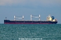 Interlink Celerity OS-151022-01.jpg