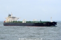 Yannis P SH-300122-01.jpg