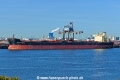 GH Nightingale (MB-120826-1).jpg