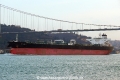 Zouzou N (OK-280114-1).jpg