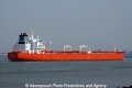 Zenovia Lady (JS-020911-11).jpg