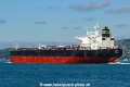 Zuma (OK-260512-4).jpg