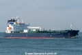 Marlin Modest SH-171019-01.jpg