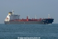 Melide (MS-051005-1).jpg