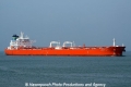 Zenovia Lady (JS-020911-03).jpg