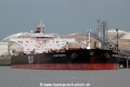 Yasa Polaris (MM-0706614-1).jpg