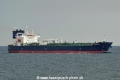Marlin Magic HK-190719.jpg