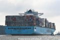 Maersk Guayaquil 150818-23.jpg