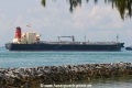 Mermaid Express (MS-181007).jpg