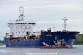 Greta K (OK-280429-1).jpg