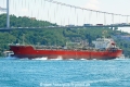 GT Star (OK-220714-0).jpg