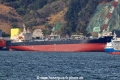 MH Ibuki (MS-190425-1).jpg