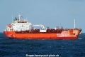 Golden Ray SH-111221-01.jpg