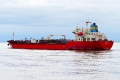 Golden Ray (OK-151020-2).jpg