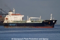 Minerva Grace SH-131113-01.jpg