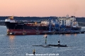 Maran Current TL-250925-1.jpg