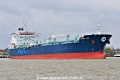 Minerva Leo (OK-220421-2).jpg