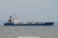 Golden Wave (MS-161007-02).jpg