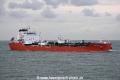 GW Dolphin OS-040920.jpg