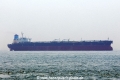 Maran Canopus OS-151014-01.jpg