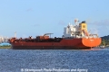 Guanaco RV-011111.jpg