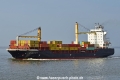Helianthus HK-280421-1.jpg