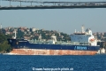 Minerva Xanthe (OK-300714-1).jpg