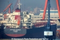 Fortune Harmony (LW-061013-01).jpg