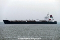 Muscat Silver (KK-131216-1).jpg