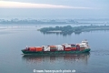 Expert 310525-3.jpg
