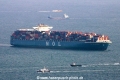 MOL Bellwether (MS-080815-11).jpg