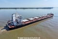 Kastor KH-240626-14.jpg