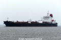 Muscat Silver (KK-131216-0).jpg
