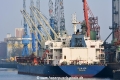 Filia Joy (KB-D010314-02).jpg
