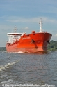 Harbour Pioneer 020911-11.jpg
