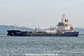 Marine Vicky OS-231025-02.jpg