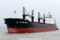 Fortune Hero (OK-020517-2).jpg