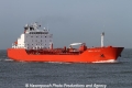Helene Knutsen SH-280113-01.jpg