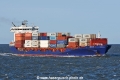 Neta A JG-161125-1.jpg